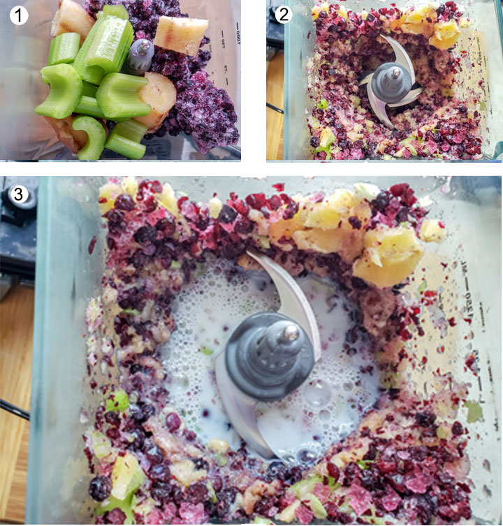 Healthy Blueberry Smoothie (DF & Vegan) Binky's Culinary Carnival