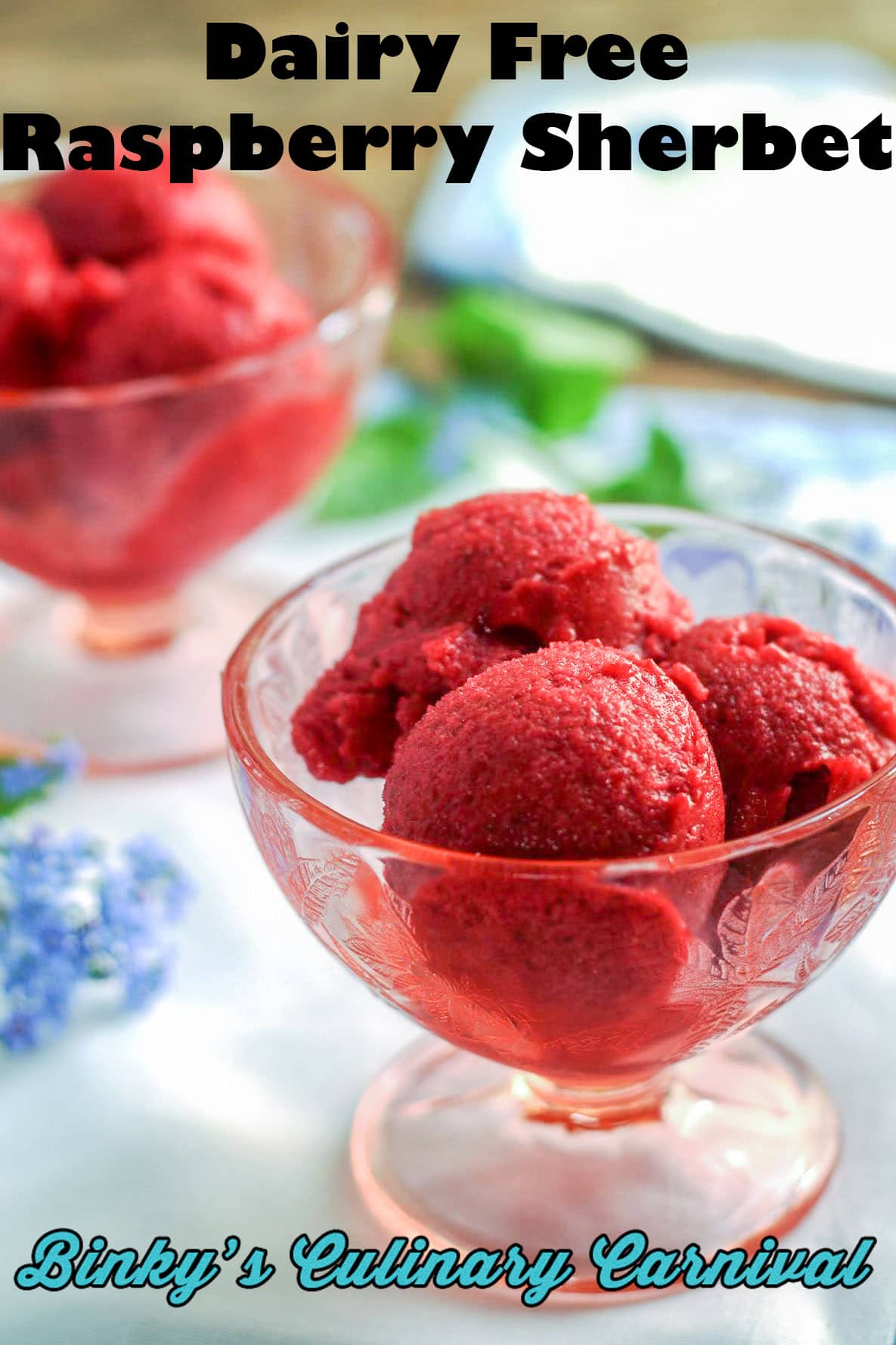 Raspberry Banana Sherbet Dairy Free Vegan Binky's Culinary Carnival