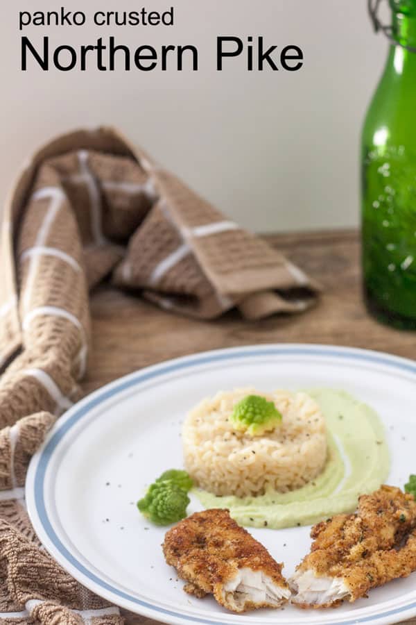 Northern Pike Recipe GF Or Panko Crusted Binky s Culinary Carnival