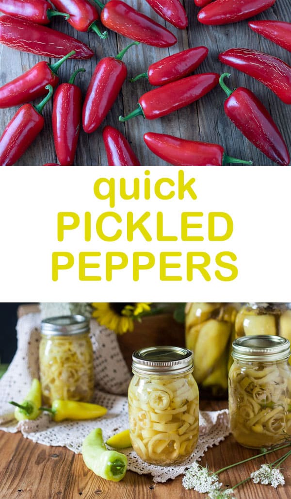 Easy Hot Pickled Peppers Binky's Culinary Carnival