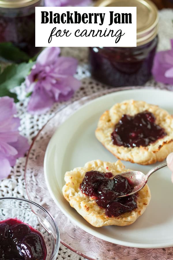 Low Sugar Blackberry Jam Recipe Binky's Culinary Carnival