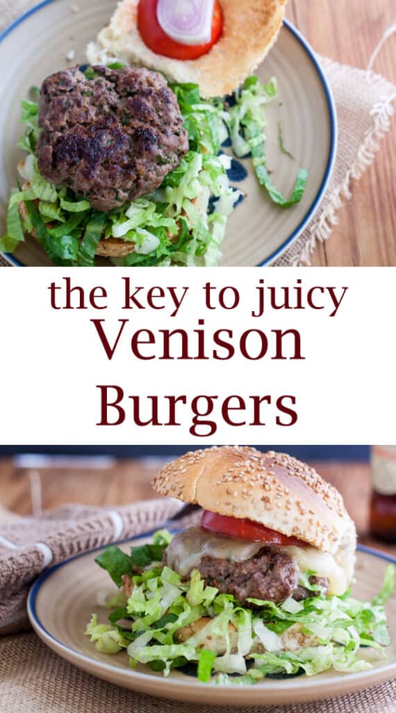 Venison Burger Deer Burgers Binky's Culinary Carnival