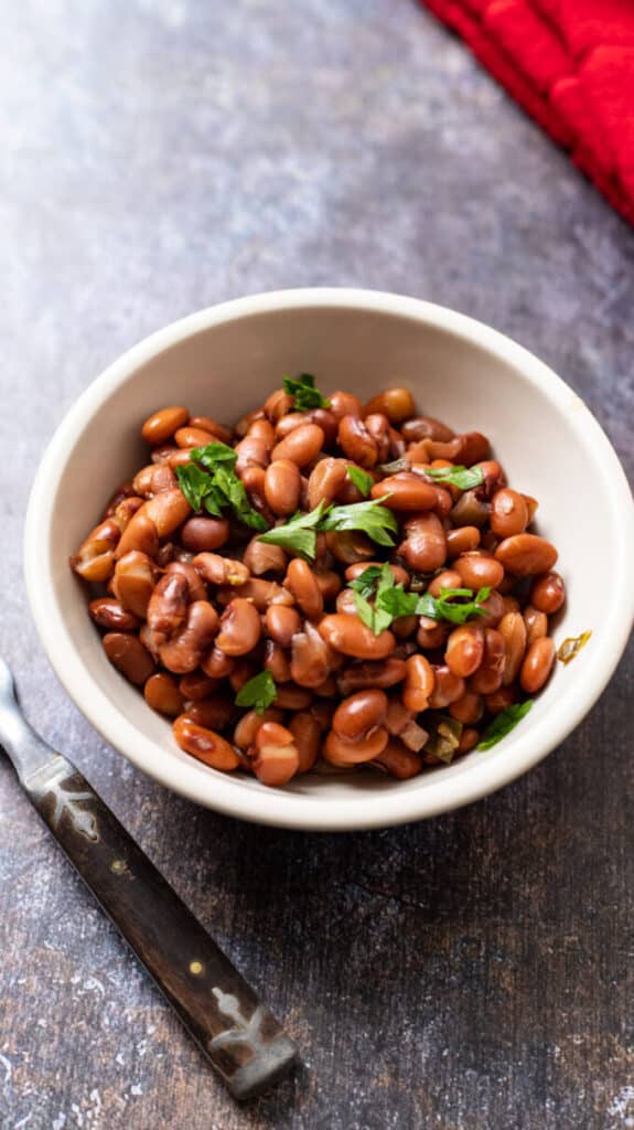 Instant Pot Pinto Beans no soaking needed Binky's Culinary Carnival