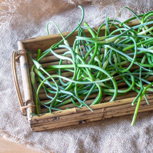 Garlic Scape Dressing Vinaigrette Binky's Culinary Carnival