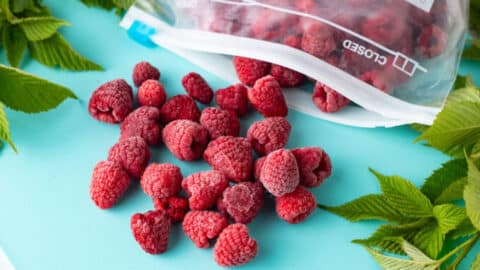 Freezing Raspberries - Binky's Culinary Carnival