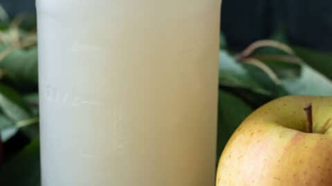 canning making apple juice at home