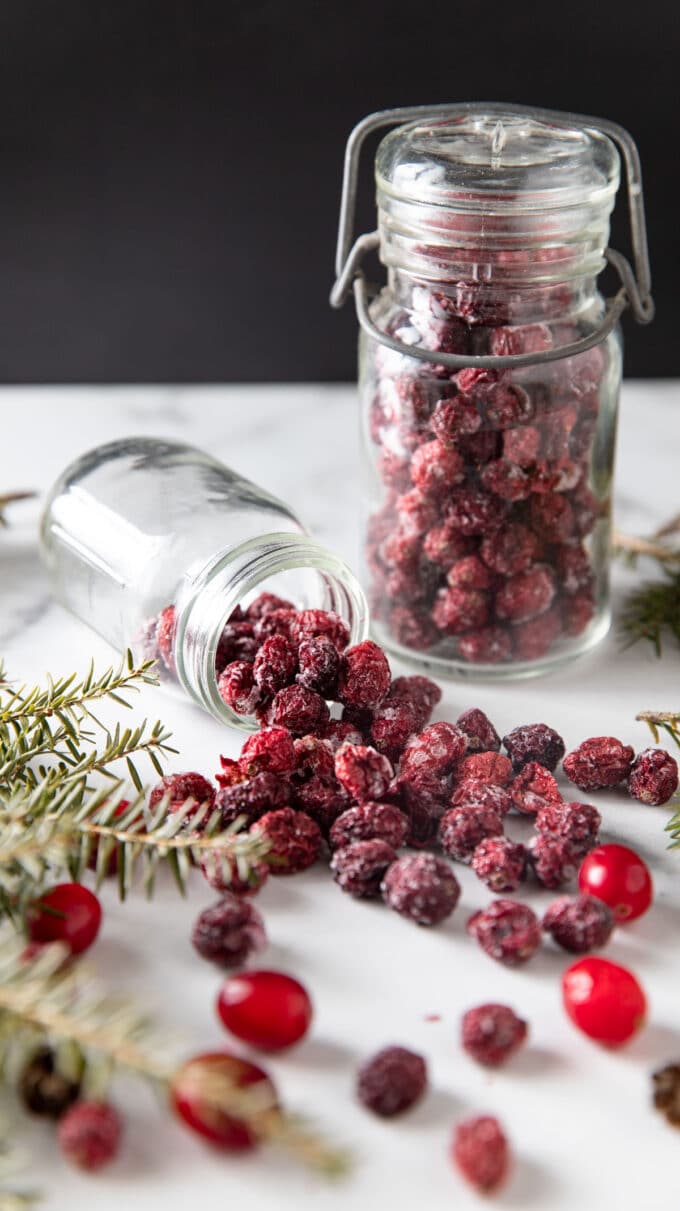 How to Dry Cranberries Binky's Culinary Carnival