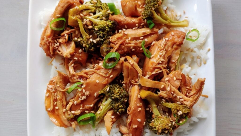 Teriyaki chicken on a plate.