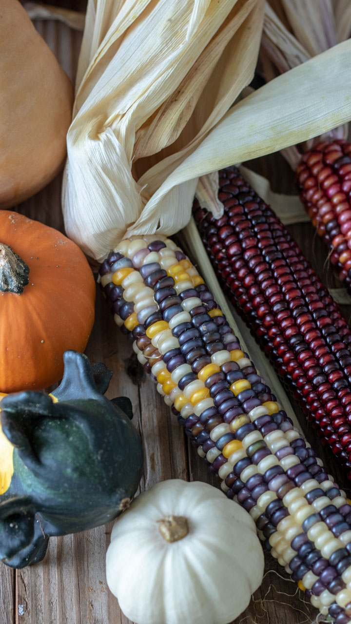 colorful fall produce on wood background