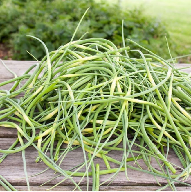 large pile of garlic scapes on wooden board