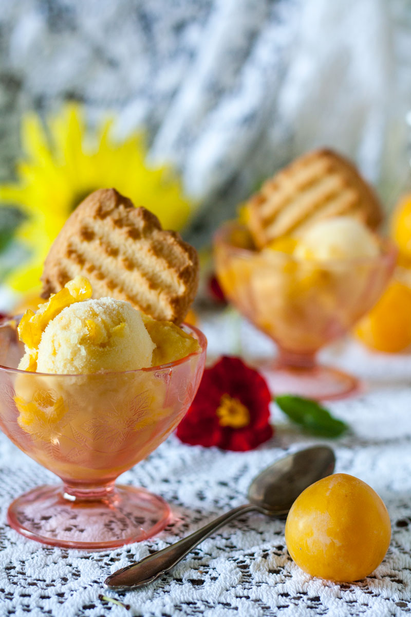 yellow plum sorbet in pink sorbet glass
