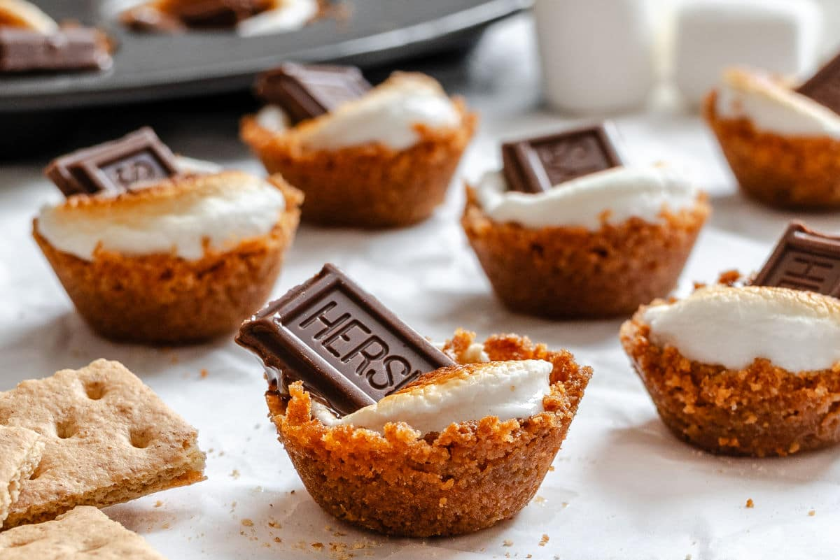 A picture of Mini S'mores Pie
