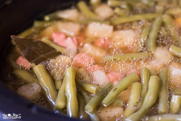 A close up shot of Slow Cooker Ham and Green Bean Chowder
