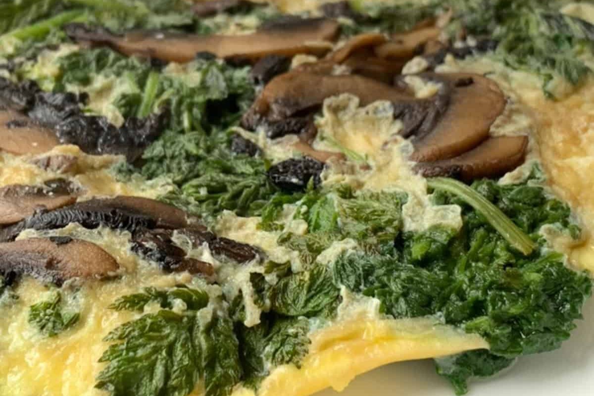 Wild Chervil Omelette – Tapakatc Shushan
