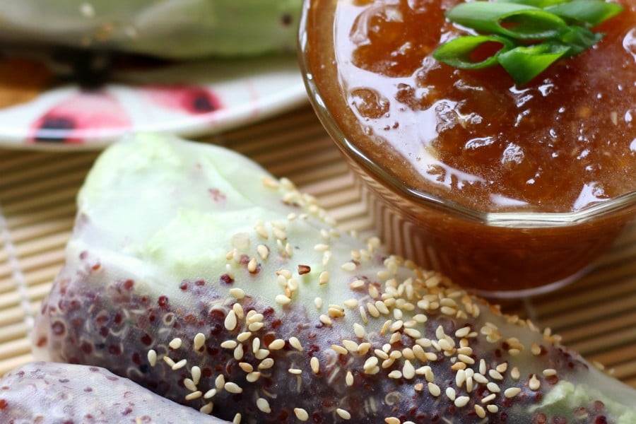 Quinoa Spring Rolls with Homemade Duck Sauce (Gluten-Free, Vegan)
