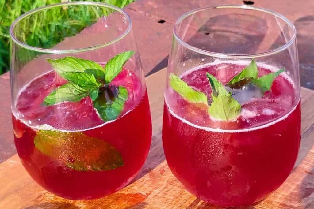 How To Make Naturally Carbonated Probiotic Hibiscus Soda