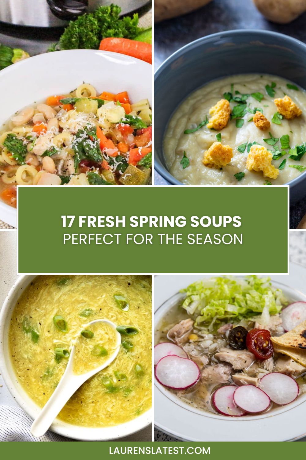 Types Spring Soup 17 Spring Soups Packed with the Fresh Flavors of the Season - Binky's ...
