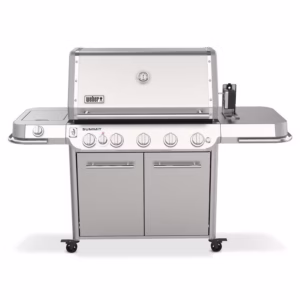 Weber Summit FS38 S product image.