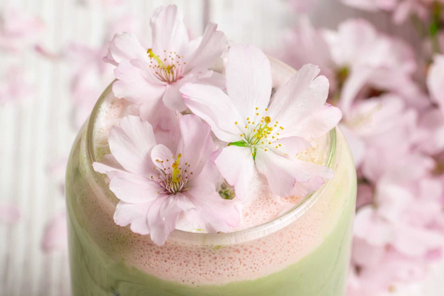 A glass of Cherry Blossom Matcha Sakura Latte Recipe