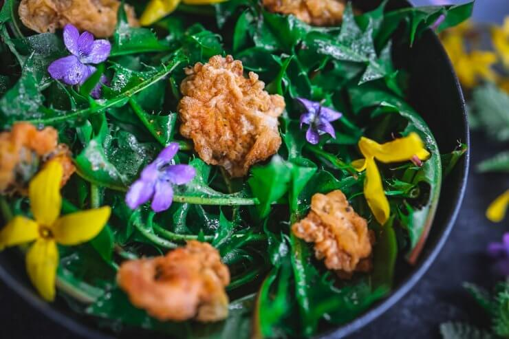 Backyard Dandelion Greens Salad with Dandelion Fritters
