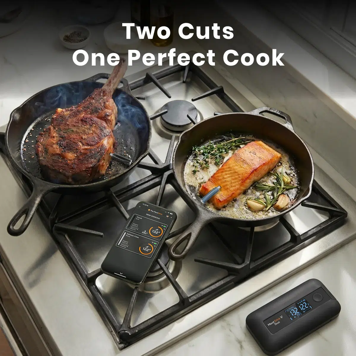 Product image of MeatStick V Duo