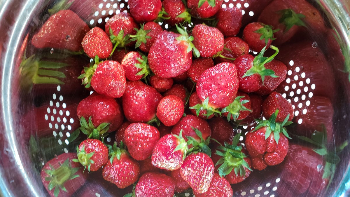 strawberrys in a strainer
