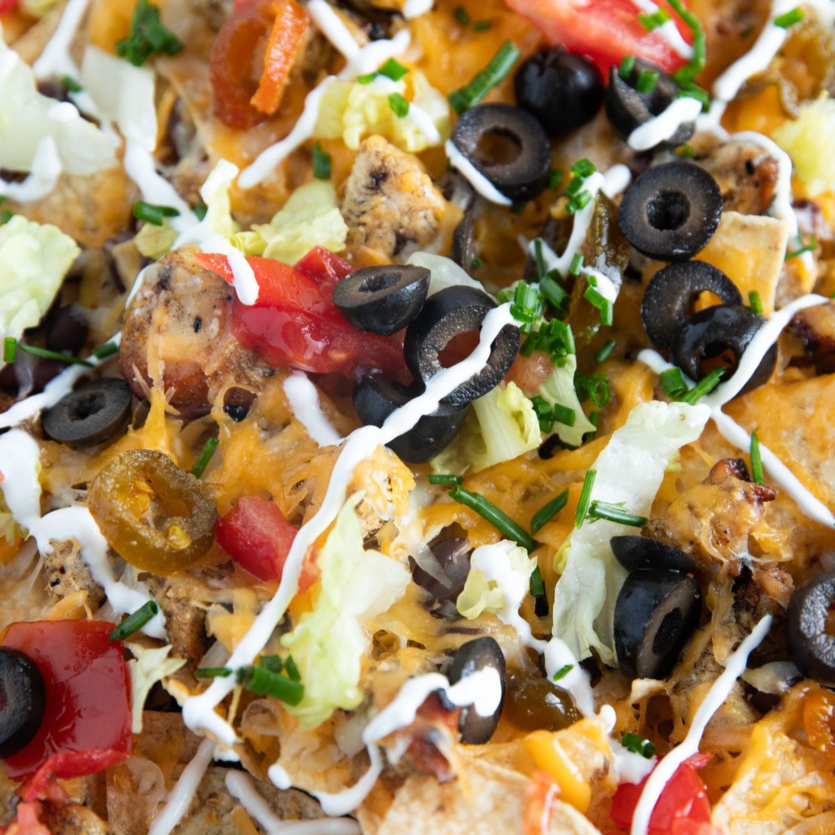 Loaded chicken nachos with olives, jalapenos, tomates and melty cheese.