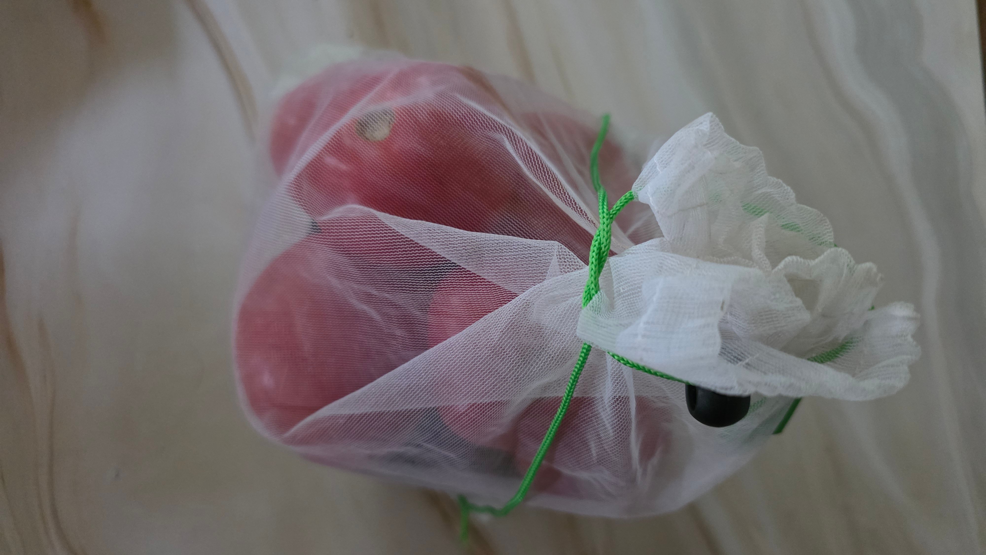 Tomatoes in a mesh bag.